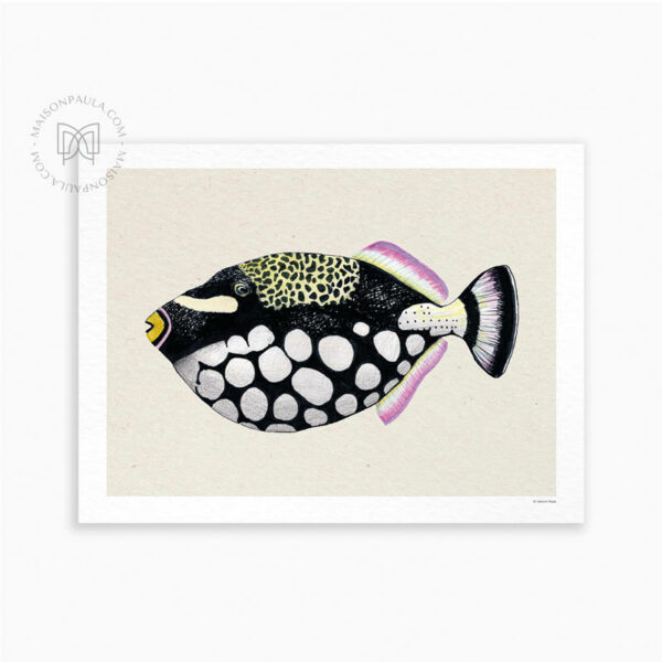 Affiche Poisson Baliste Clown