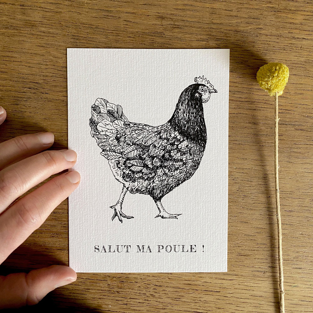 Maison Paula carte postale d'une poule domestique dessinée au trait en noir et blanc