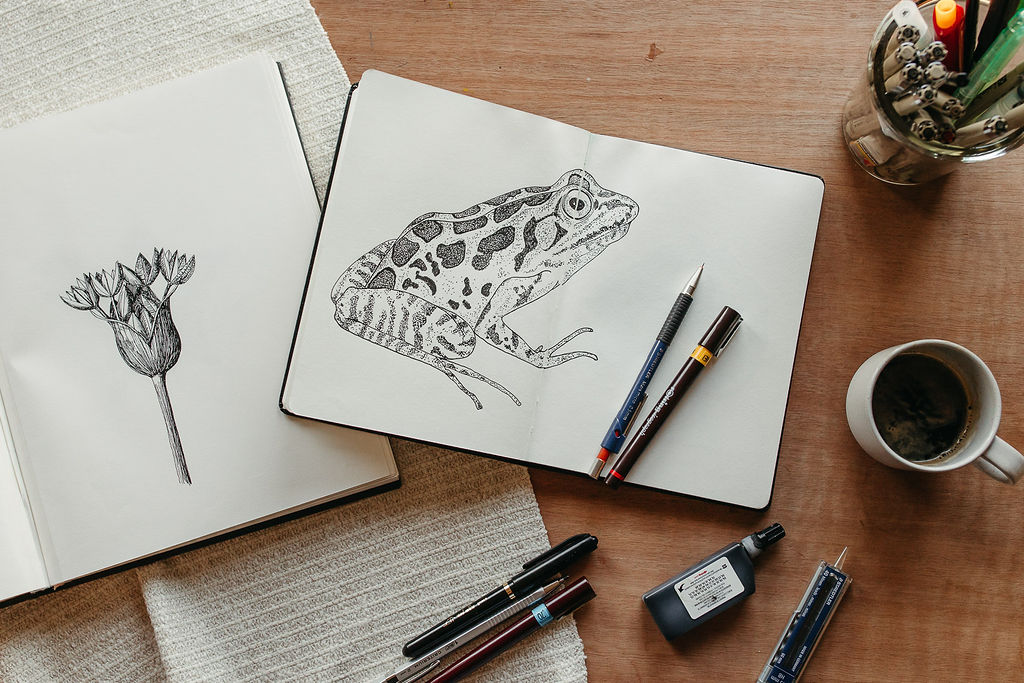 Maison Paula carnets de croquis avec illustrations naturalistes et anciennes dessin