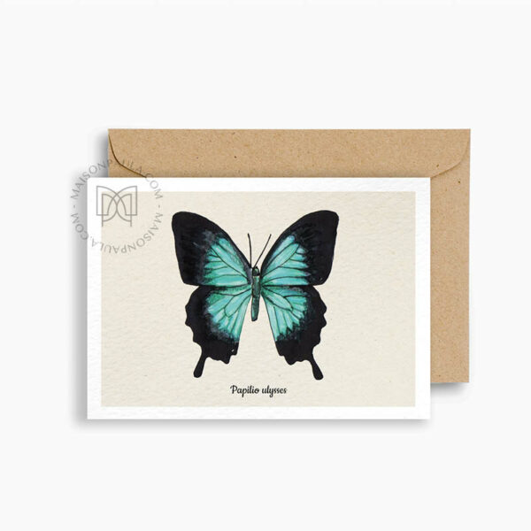 Carte postale Papillon Ulysses