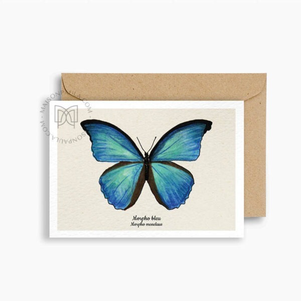 Carte postale Morpho Bleu