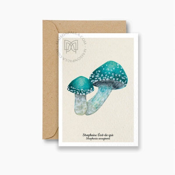 Carte postale champignon Strophaire Vert-de-gris