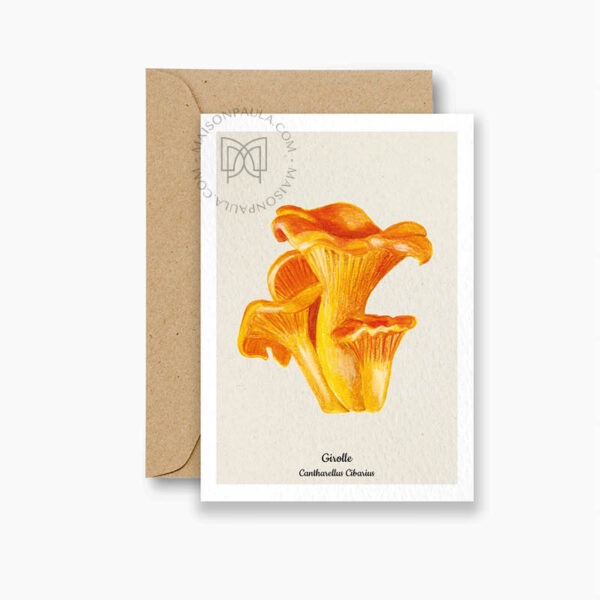 Carte postale Champignon Girolle