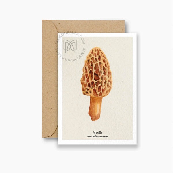 Carte postale Champignon Morille