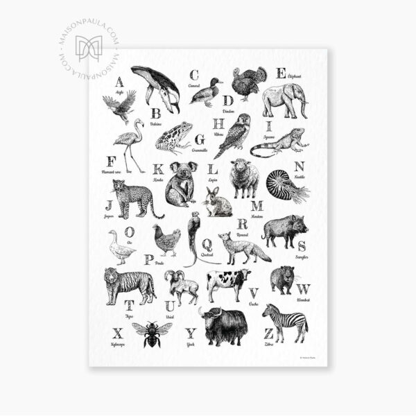 Abécédaire des animaux en affiche ou poster illustré par Maison Paula