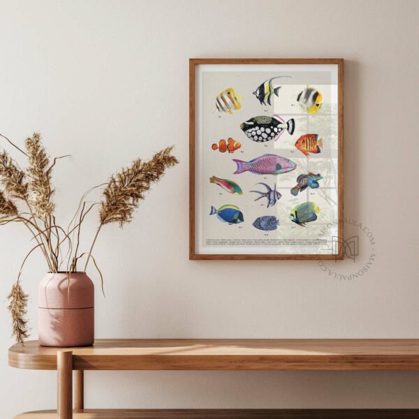 Affiche décoration murale Les poissons des récifs coralliens