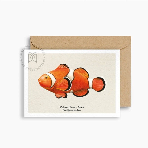 Carte postale Poisson clown Nemo
