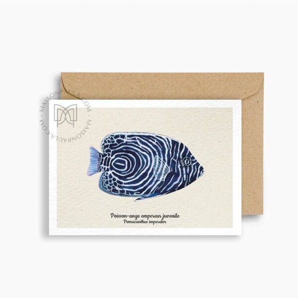 Carte postale Poisson Ange-Empereur juvénile