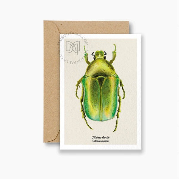 Carte postale cetoine doree