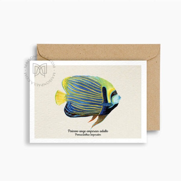 Carte postale Poisson Ange-Empereur Adulte