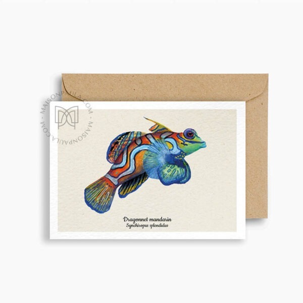 Carte postale Poisson Dragonnet mandarin