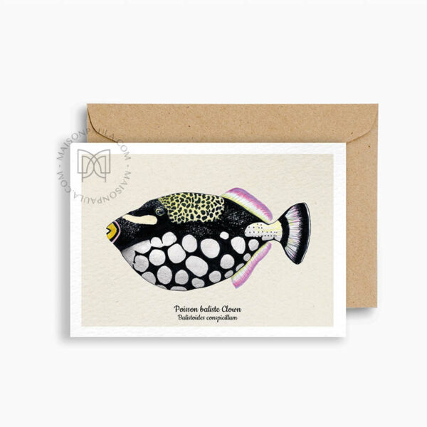 Carte postale Poisson Baliste Clown