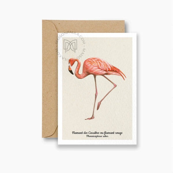 Carte postale Flamant rouge
