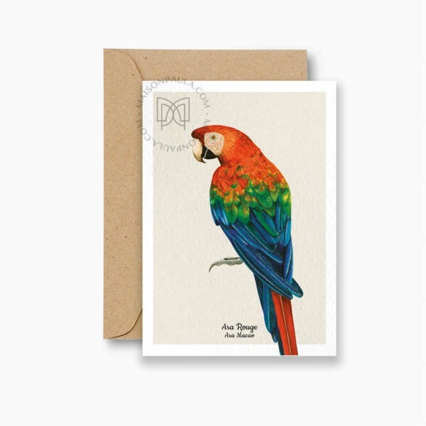 Carte postale Ara Rouge