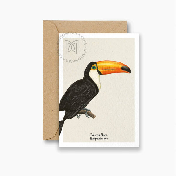 Carte postale Toucan Toco