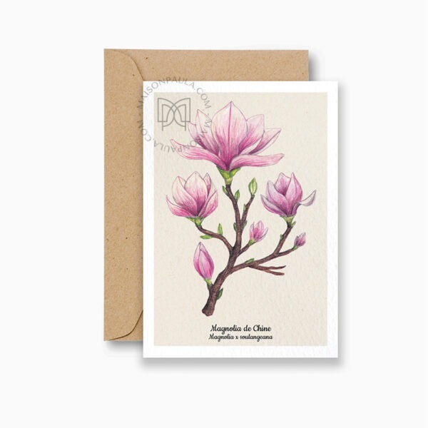 Dessin magnolia disponible en affiche ou en carte postale