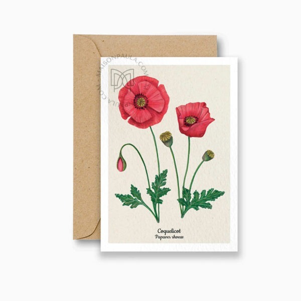 Dessin coquelicot disponible en affiche ou carte postale