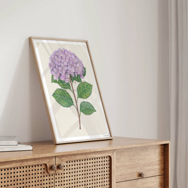 Affiche Fleur Hortensia – Image 4