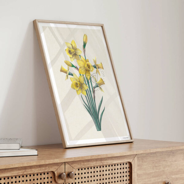 Affiche Fleur Jonquille - Fond naturel – Image 3