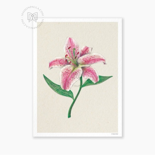 Affiche Fleur Lys Oriental