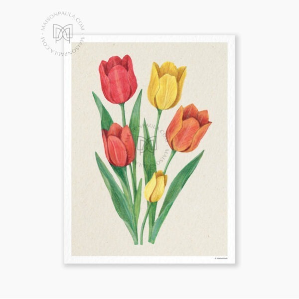 Affiche Fleur Tulipe