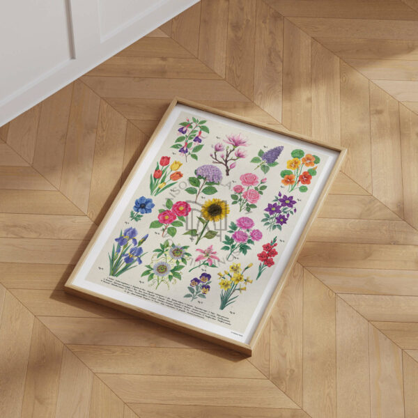 Affiche Fleurs – Image 3
