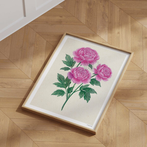 Affiche Fleur Pivoine - Fond naturel – Image 3