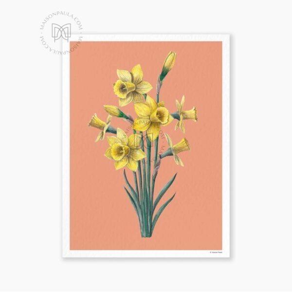 Affiche Fleur Jonquille - Fond abricot