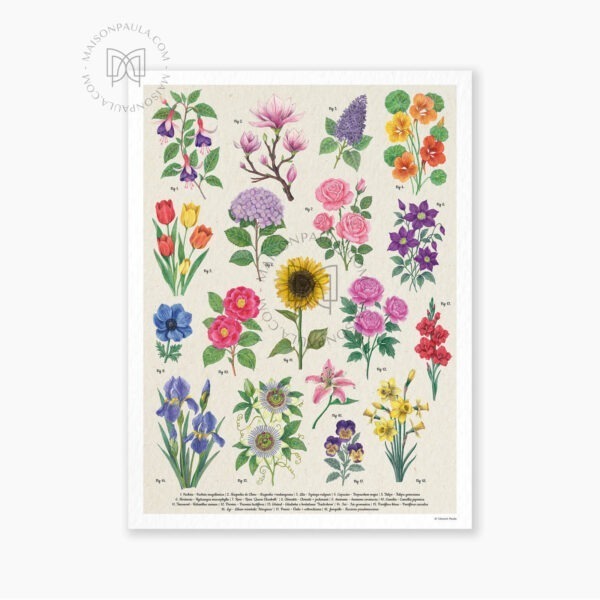 Affiche Fleurs