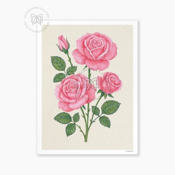 Affiche Fleur Rose - Fond naturel