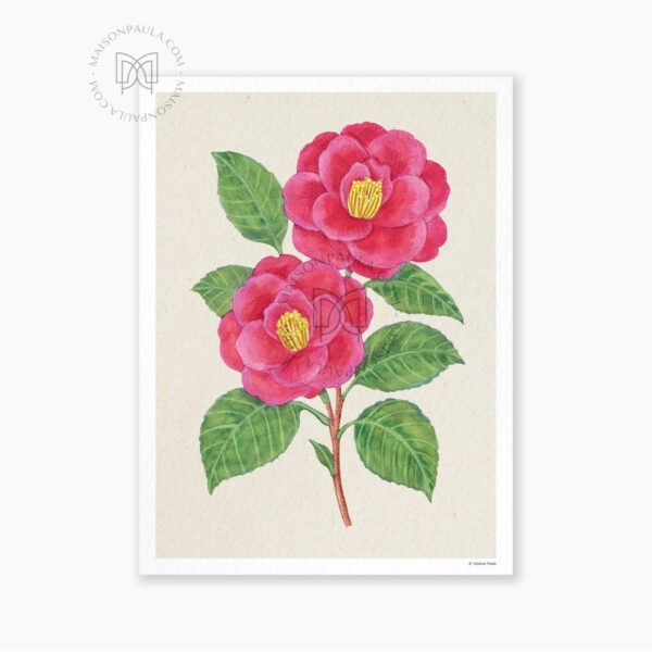 Affiche Fleur Camélia - Fond naturel