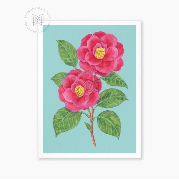 Affiche Fleur Camélia - Fond bleu