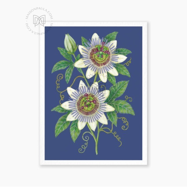 Affiche Fleur Passiflore - Fond marine